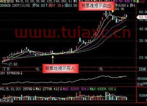 股票的概念是怎么加上去的（股票加百科） 第1张