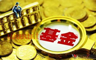 新手怎么买指数基金（新手如何买指数基金） 第1张