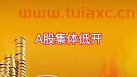 创业板股票开户申宝证券怎么申请（科创版股票开户申宝证券怎么注册） 第1张