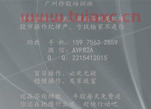 炒股开户的入门资金需要多少（股票入门多少钱可以开户） 第1张