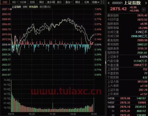 赤峰黄金股票股吧（赤峰黄金股票股吧分析） 第1张