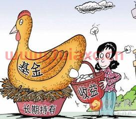 华夏基金定投哪个好（华夏优势基金定投怎么样） 第1张