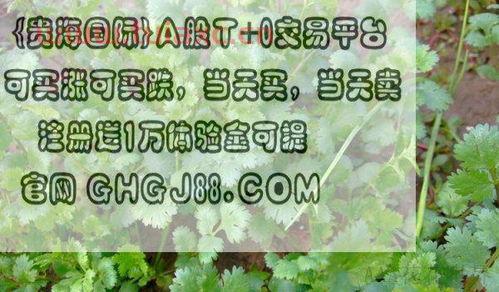 股票跌多少涨多少回本（股票跌了又涨了怎么算赚多少） 第1张