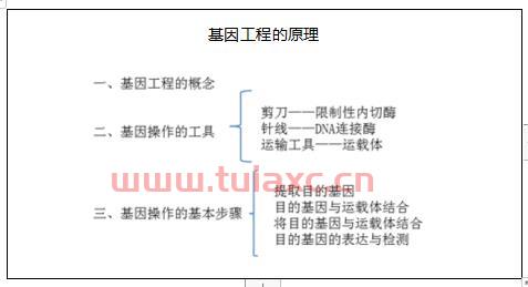 基因工程名词解释（基因工程概念高中生物） 第1张
