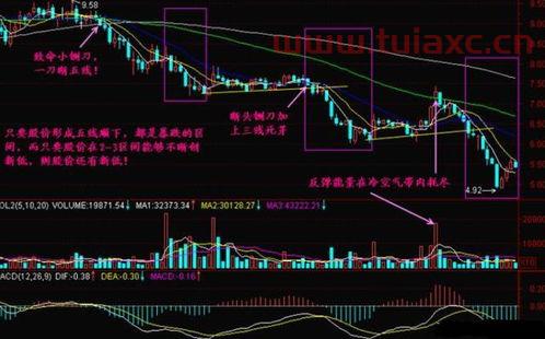 股票五彩线代表什么（股票五线什么意思） 第1张