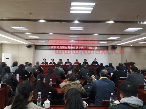 江西省供销集团有限公司总经理（江西省供销集团有限公司班子成员） 第1张