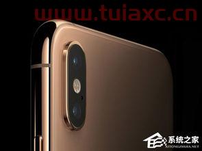 xr和x的区别哪个好（xr跟x的区别哪个好） 第1张
