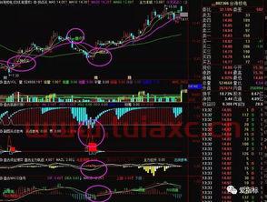 关于通达信拐点提示指标的信息 第1张