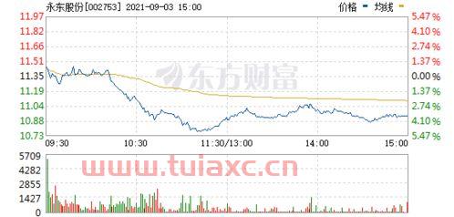 002753永东股份（002753永东股份千评千股） 第1张