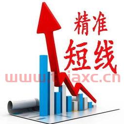 股票后面的l1是什么意思（股票里l1是什么意思） 第1张