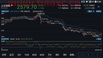股票lp0是什么意思呀（什么是lP0） 第1张