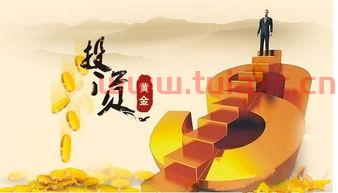 投资黄金还是黄金基金（投资黄金还是黄金基金比较好） 第1张