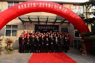 陕西省天然气股份有限公司（陕西省天然气股份有限公司延安分公司） 第1张