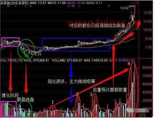 股票开户填写工作单位（股票开户工作单位怎么填） 第1张