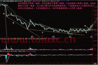 300688（300688开头的股票都不能买） 第1张