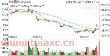 金安国纪（金安国纪股票股吧） 第1张