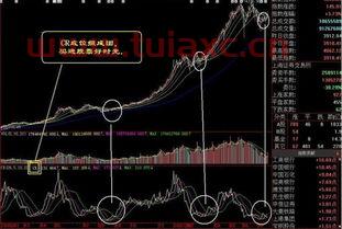 微信里的股票怎么买卖啊（微信能买卖股票吗） 第1张