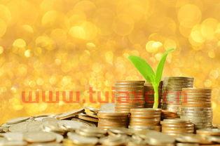金融学专业是干什么的6（金融学专业是干什么的工作）