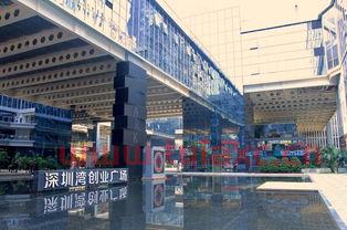 深圳市新湾投资有限公司（新湾控股有限公司）