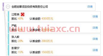 合肥项目投资公司排名（合肥市投资的公司）