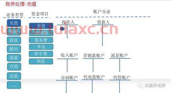 投资公司投资一个项目（公司投资一个项目如何做账务处理）