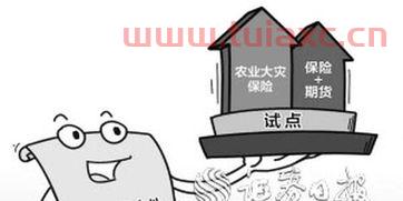 棉花期货保险补贴