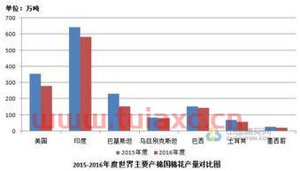 棉花期货上涨原因