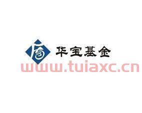 华宝兴业基金公司