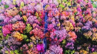 南京栖霞山东边未来发展怎么样呢