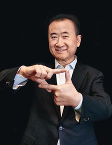 王健林在四川投资