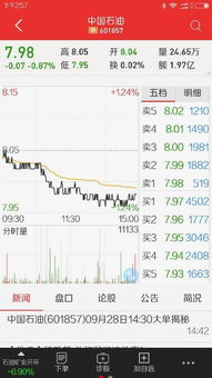 中国石油发行价多少钱一股