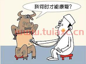 股市牛市到了吗