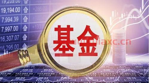 睿远基金公司