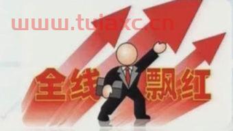 保险股票大涨