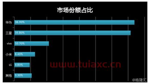 如何把握科技行业龙头企业