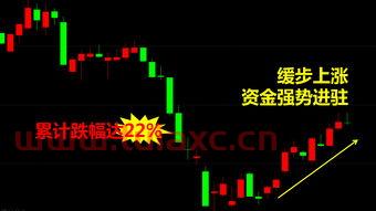 股市中的独角兽概念能否崛起呢