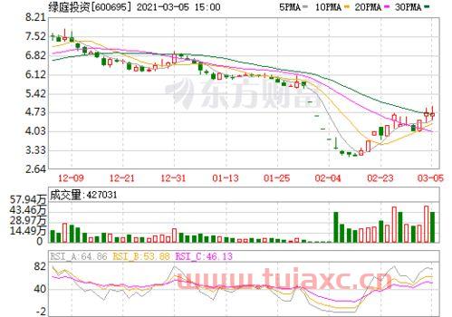 600695绿庭投资股票