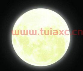 昨日月和打一数字