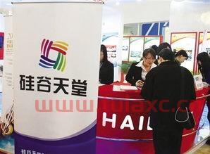 硅谷天堂