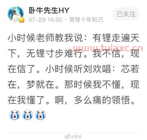新华社发文力挺股市