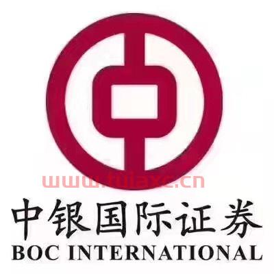 中银国际证券有限责任公司