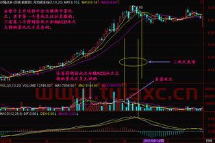量比选股买卖技巧