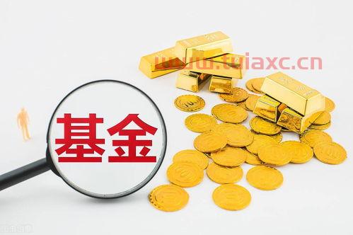 医疗基金引领基金大跌为何很多人要跑路