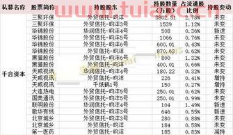 2020年王亚伟*重仓股