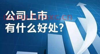 杭实集团下属的上市公司有哪些公司