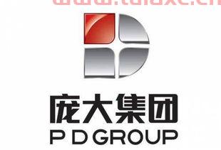 601258庞大集团