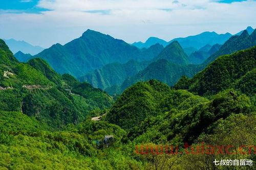 中国有没有原始森林具体都在哪些位置呢