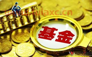 基金买入什么时候开始算收益