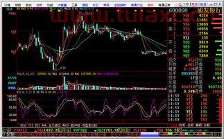 海通证券大智慧2008专业版哪里可以下载