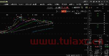 老三板股票400082